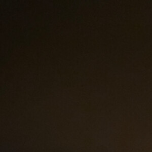 Makida L - Howard Community College  Babysitter