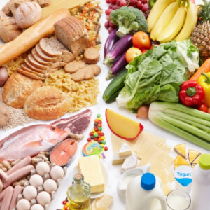 Arya B - HCC Babysitter