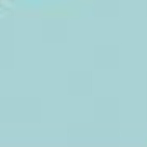 Muskaan S - GWU Babysitter