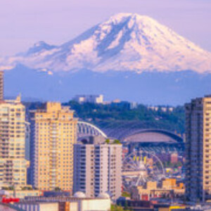 Peter K - WSU Babysitter