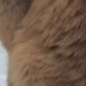 Melissa L - HVCC Babysitter