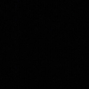 Nessa U - Ivy Tech Babysitter