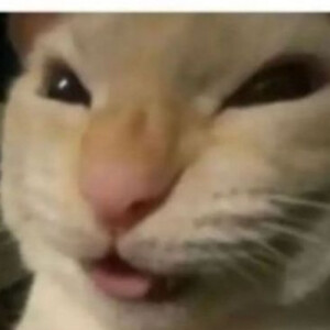 Areli O - CSU Bakersfield Babysitter