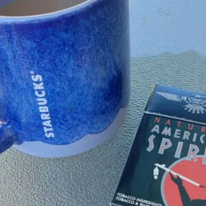 Sandra L - CSU Babysitter