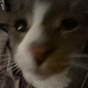 Izzy