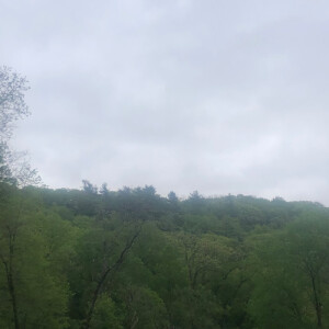 Mary S - Century Babysitter