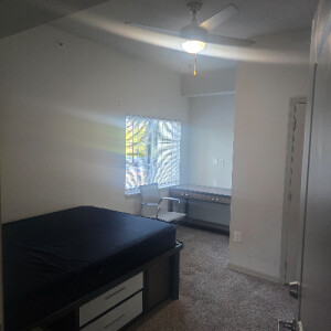 Destiny N - Florida Gulf Coast Babysitter