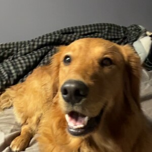 Lauren R - SIUE Babysitter