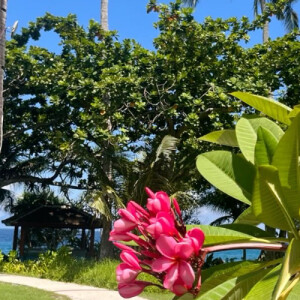 Shereece R - Barry Babysitter