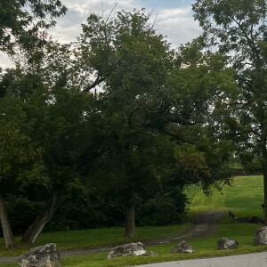 Amanda T - UAlbany Babysitter