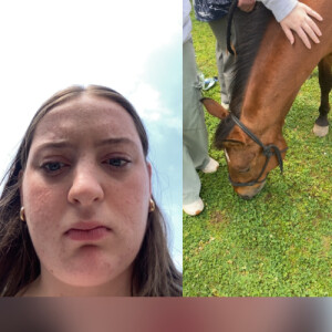 Brooke N - Holmes Community College  Babysitter