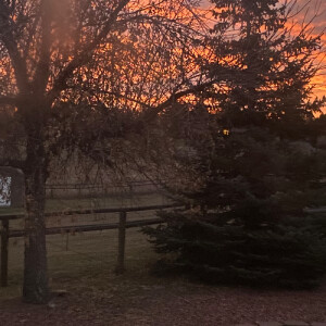 Faylyn G - University of Wyoming Babysitter