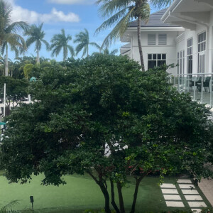 Taliyha G - Penn State Fayette Babysitter