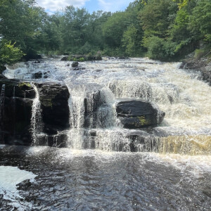 Sammie L - UAlbany Babysitter