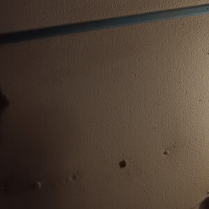 Kiana D - Coastal Bend College  Babysitter