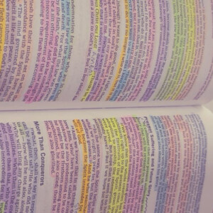 Eleanor R - University of Miami Babysitter