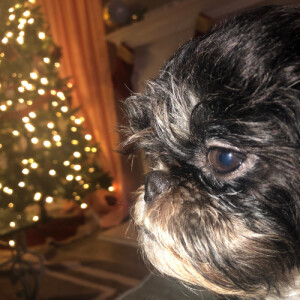 Hailie M - Gordon State College Babysitter