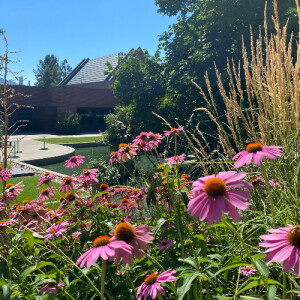 Zay M - BC Babysitter