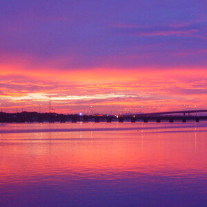 Ashanti H - SUNY Binghamton Babysitter