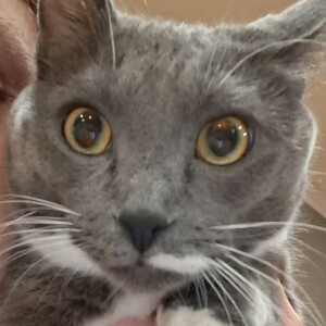 Vivien B - UWM Babysitter