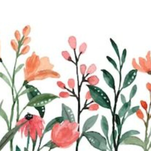 Cam N - East Central Community College  Babysitter