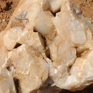 Cindy A - UT Arlington Babysitter