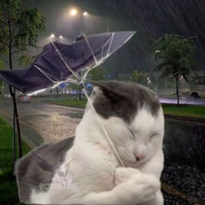 Sena B - Stony Brook Babysitter