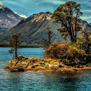 Rainey W - Bunker Hill Community College  Babysitter