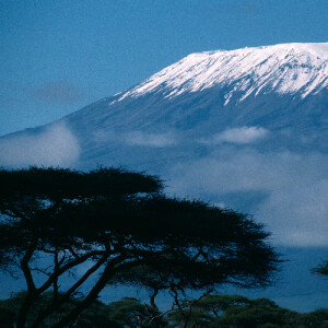 Tasha H - Houston Community College System- Central College Babysitter