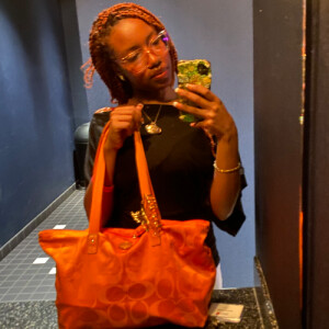 Dior H - DelVal Babysitter