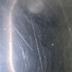 Autumn C - Ball State Babysitter