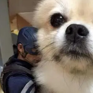 Joe D - Fresno State Babysitter