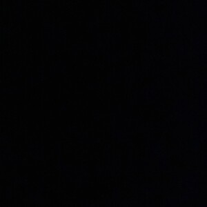 Cameron-Star D - UAlbany Babysitter