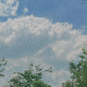 Vy N - Texas State Babysitter