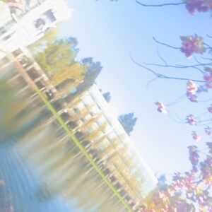 Monika K - PSU Babysitter