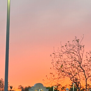 Gayeon L - Santa Clara Babysitter