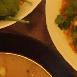 Ria A - UT Dallas Babysitter