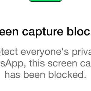 Rafaela B - UVA Babysitter