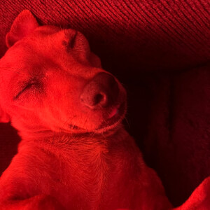 Breanna A - CSUMB Babysitter