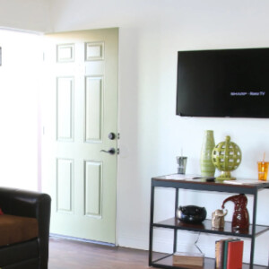 Dominique F - Fresno State Babysitter