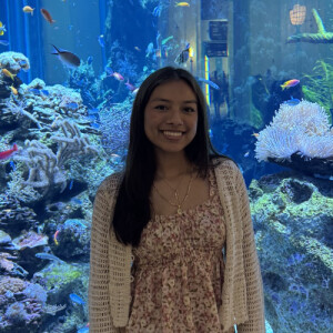 Judith B - UIC Babysitter