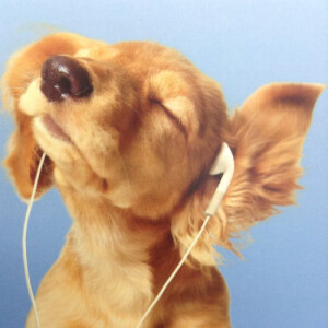 Maryjane M - Cal Poly Pomona Babysitter