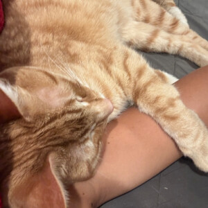 Kerry W - UCI Babysitter