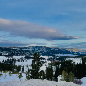 Lily F - MSU Bozeman Babysitter