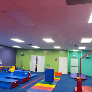 Bob S - Tulane University Babysitter