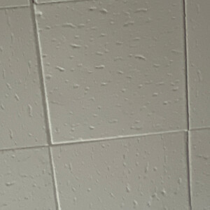 Myla C - UC Berkeley Babysitter