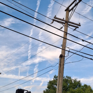 Alicia S - Collin County Community College District Babysitter