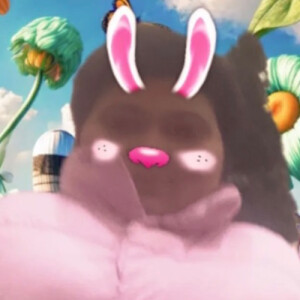 Brionta H - Truman Stte Babysitter