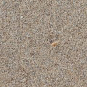 Susie F - CSUF Babysitter