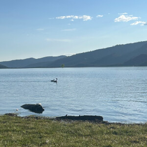 Shamarie V - NMSU Babysitter